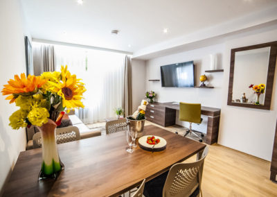 Regent Suite Gallery | Main Area (2)